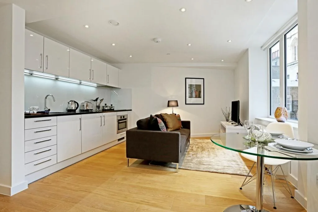 1 bedroom apartment for rent
