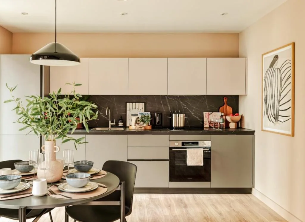 1 bedroom flat for rent