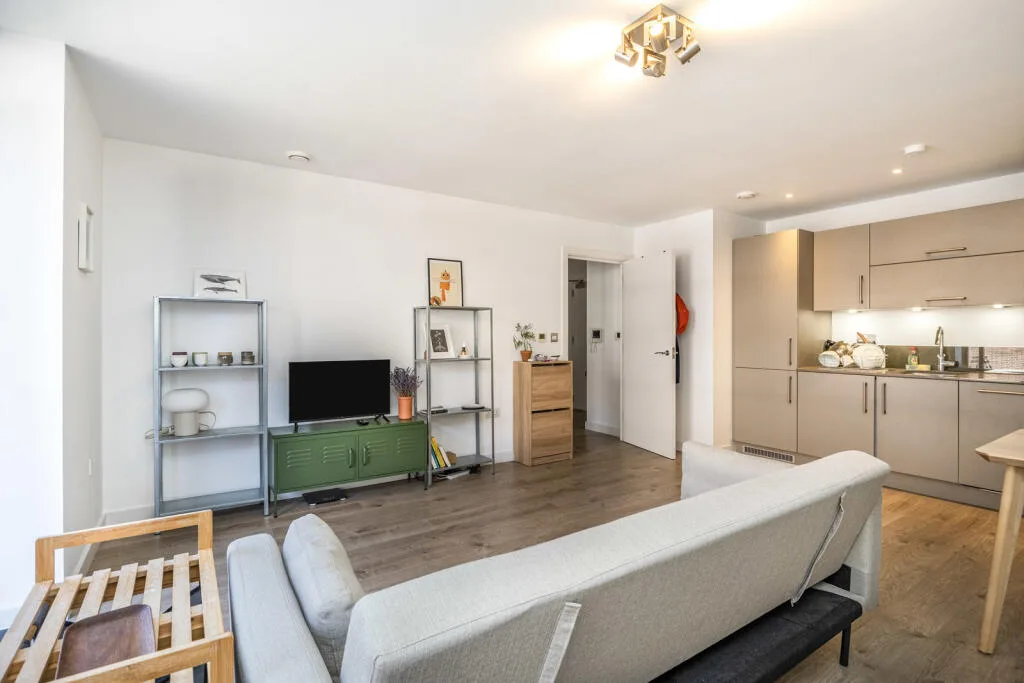 1 bedroom apartment for rent