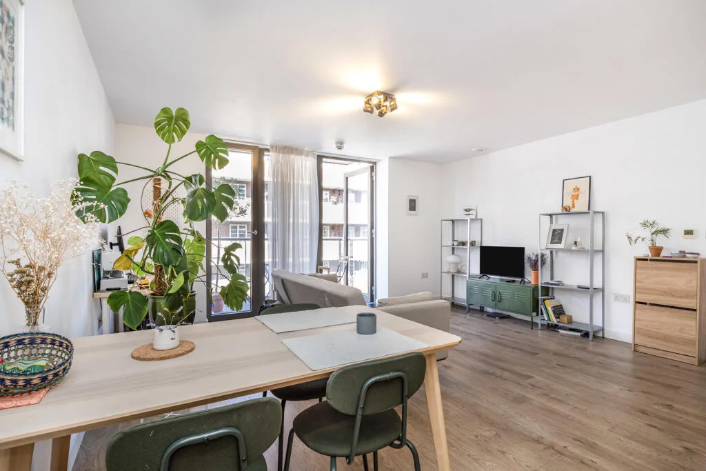 1 bedroom apartment for rent