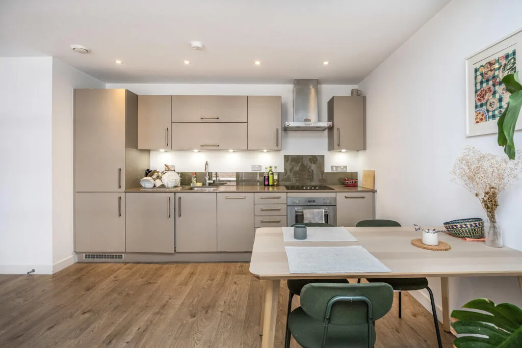 1 bedroom apartment for rent