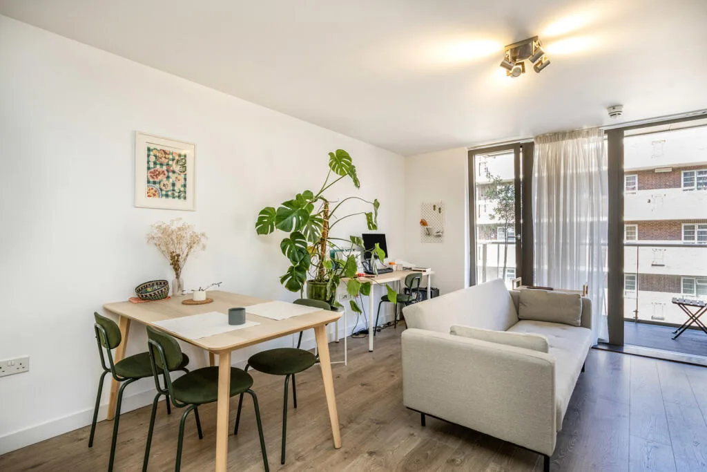 1 bedroom apartment for rent