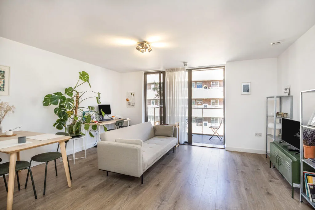 1 bedroom apartment for rent