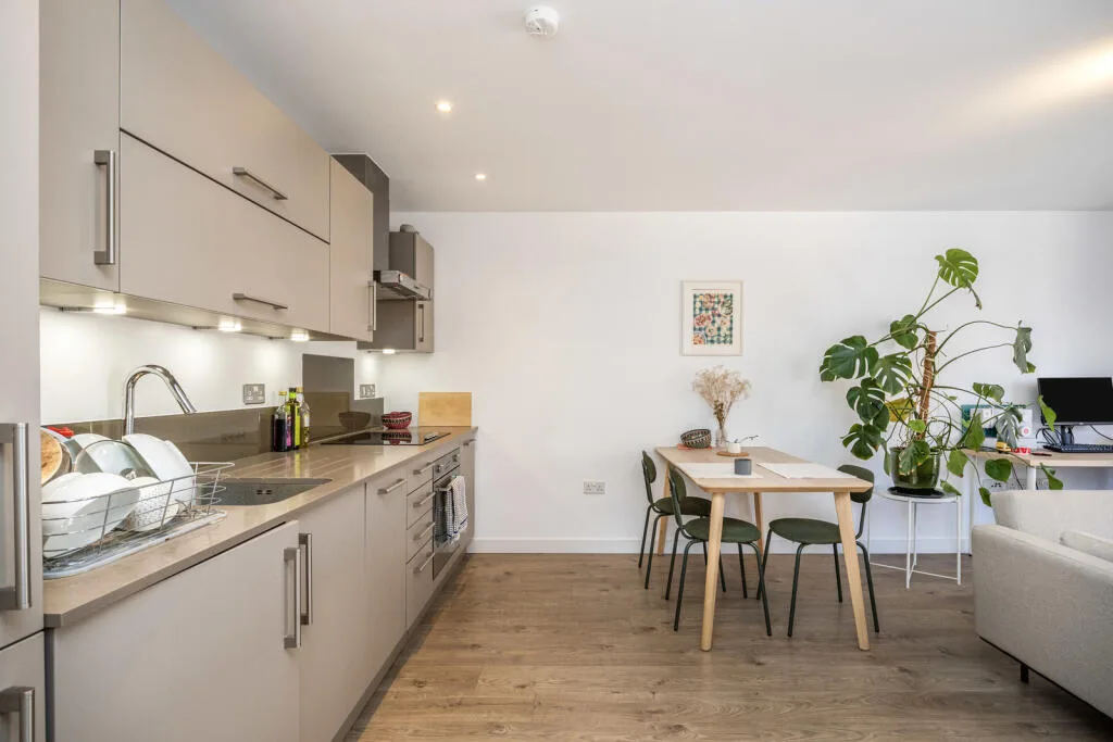 1 bedroom apartment for rent