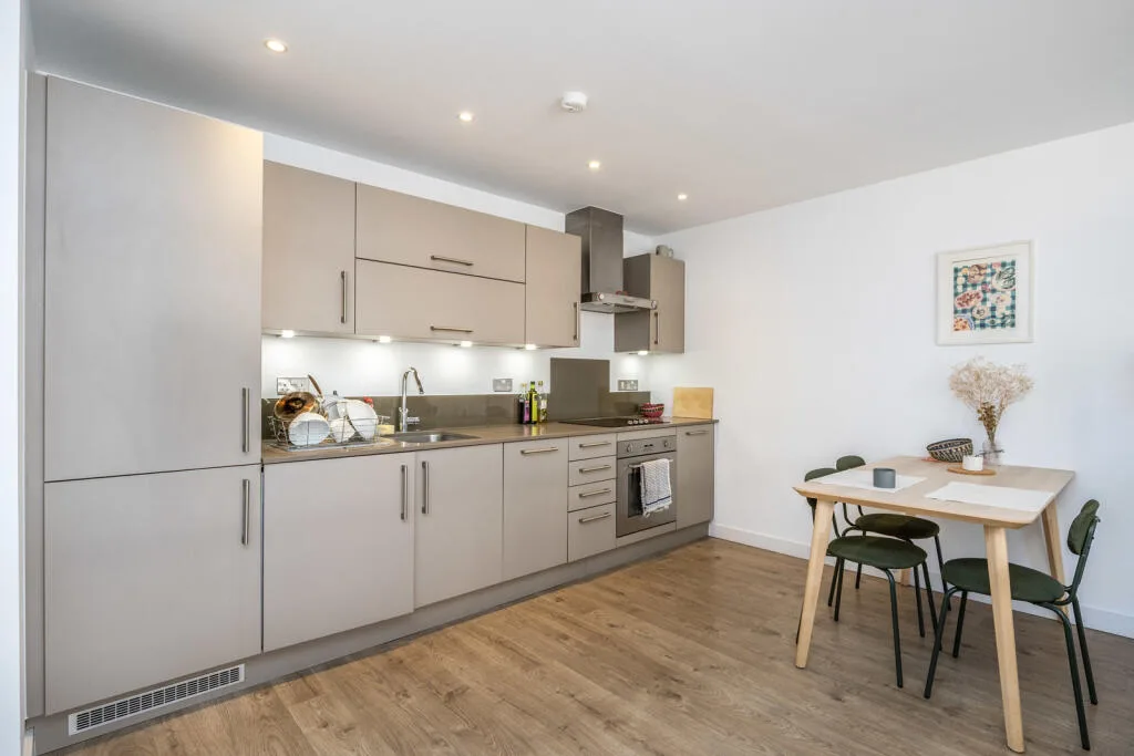 1 bedroom apartment for rent