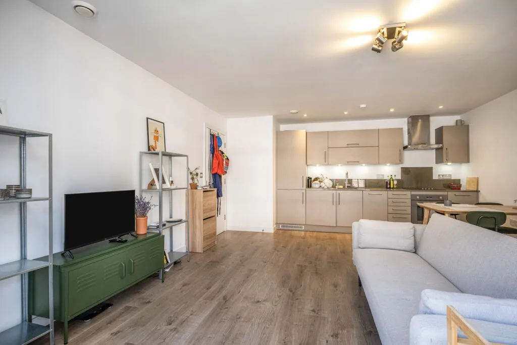 1 bedroom apartment for rent