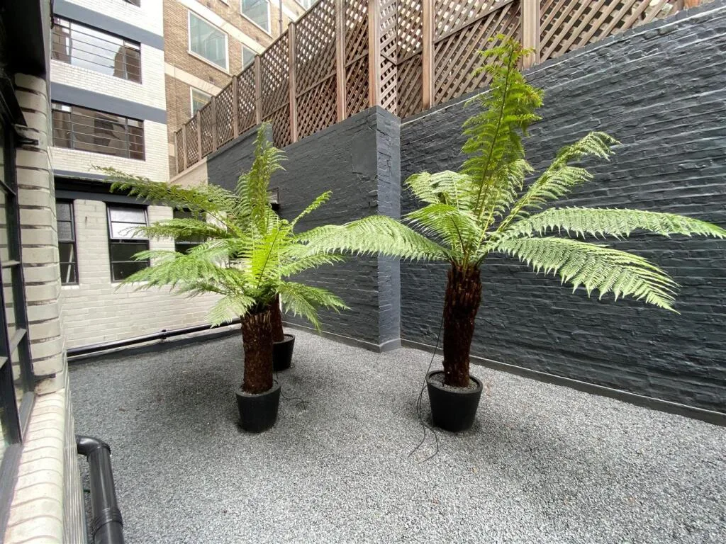 Studio apartment for rent