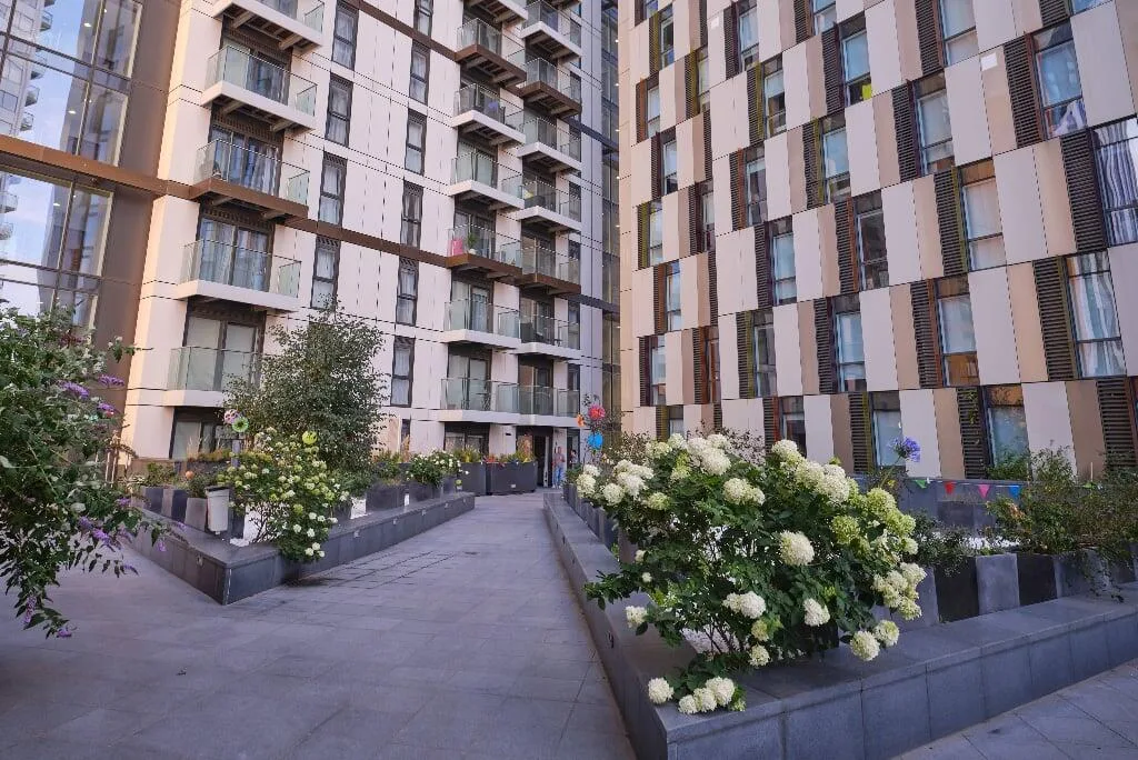 1 bedroom apartment for rent