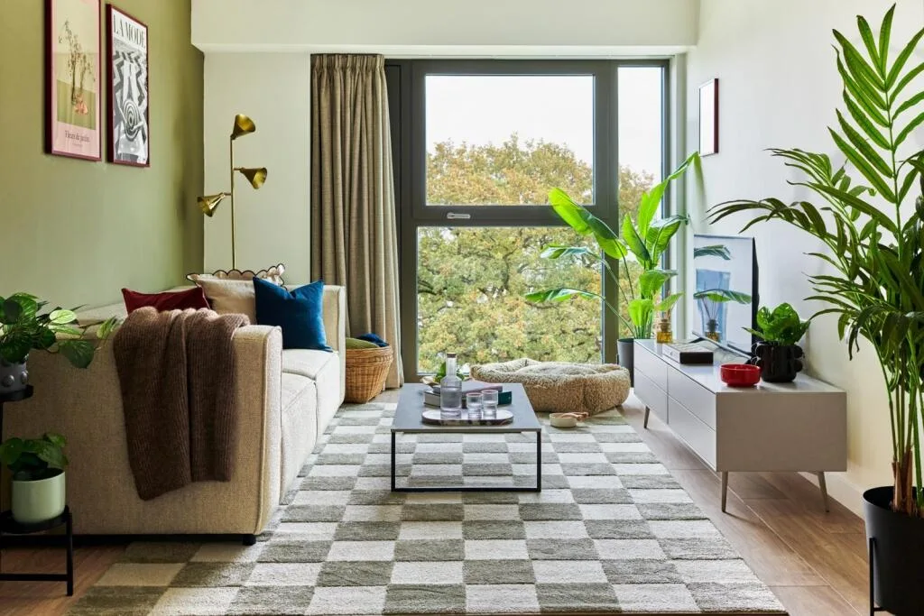 1 bedroom apartment for rent