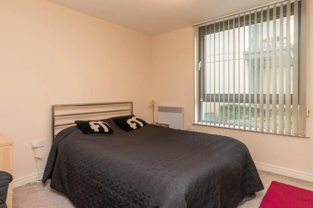 1 bedroom apartment for rent