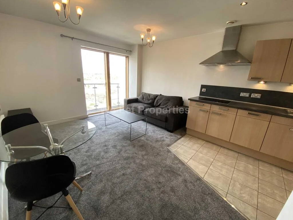 1 bedroom apartment for rent
