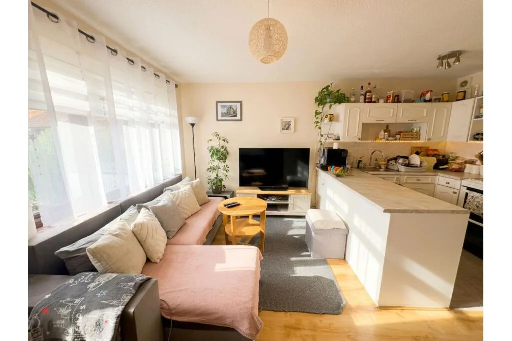 1 bedroom flat for rent