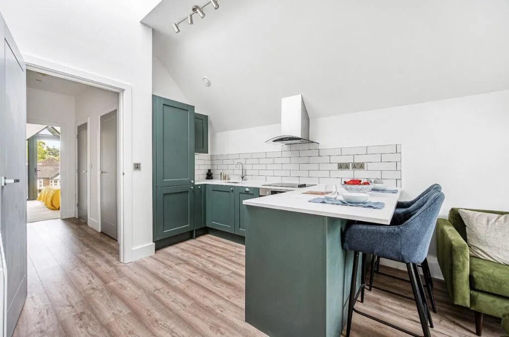 1 bedroom apartment for rent