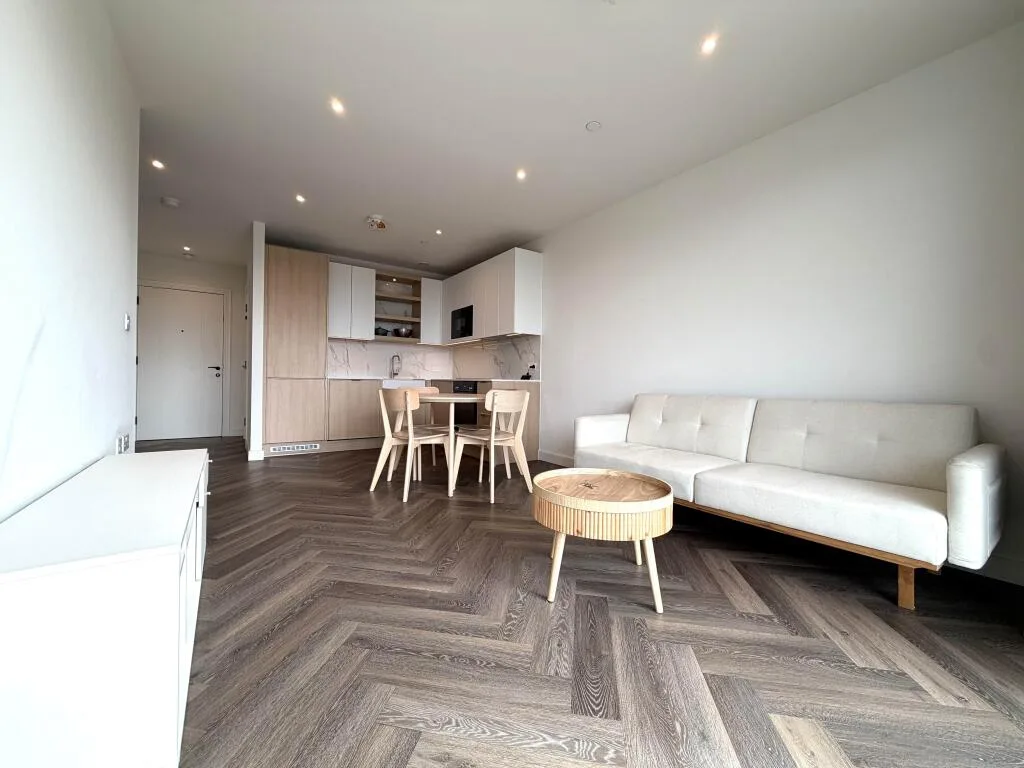 1 bedroom apartment for rent