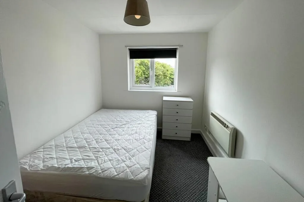 4 bedroom flat for rent