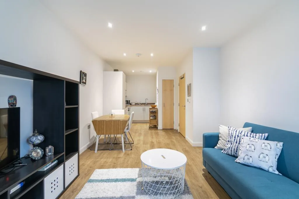 1 bedroom apartment for rent