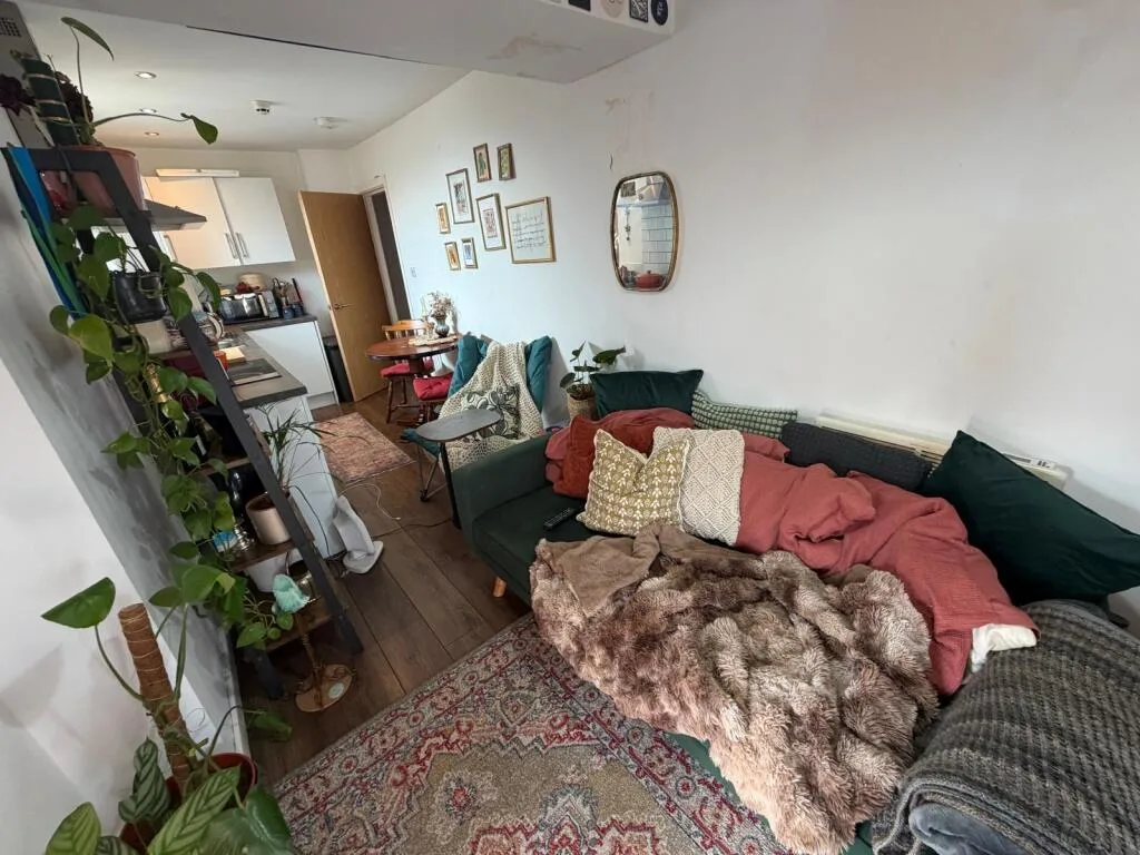 1 bedroom apartment for rent