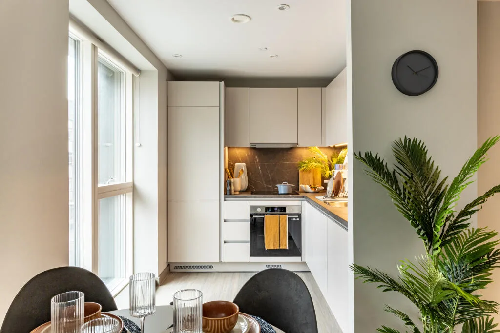 1 bedroom apartment for rent
