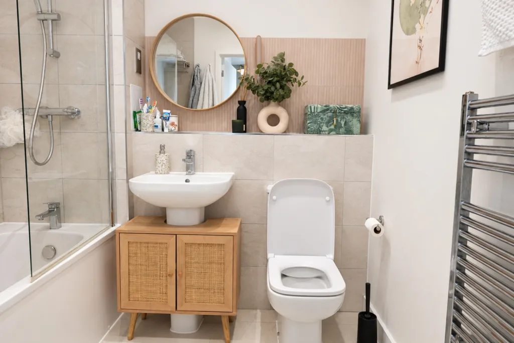 1 bedroom apartment for rent