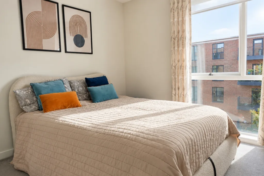 1 bedroom apartment for rent