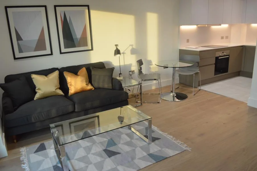 1 bedroom apartment for rent