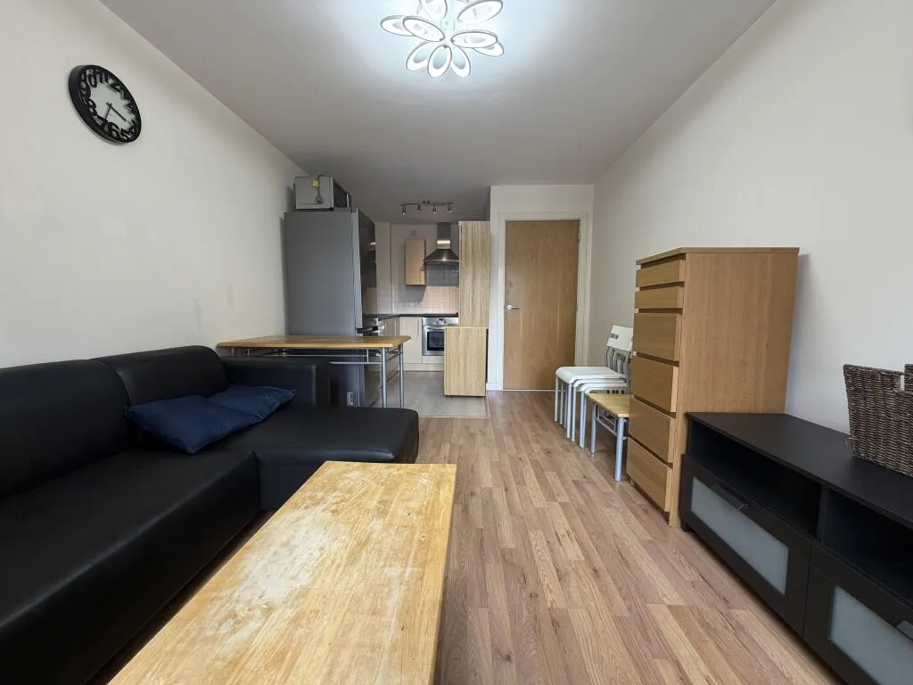 1 bedroom apartment for rent