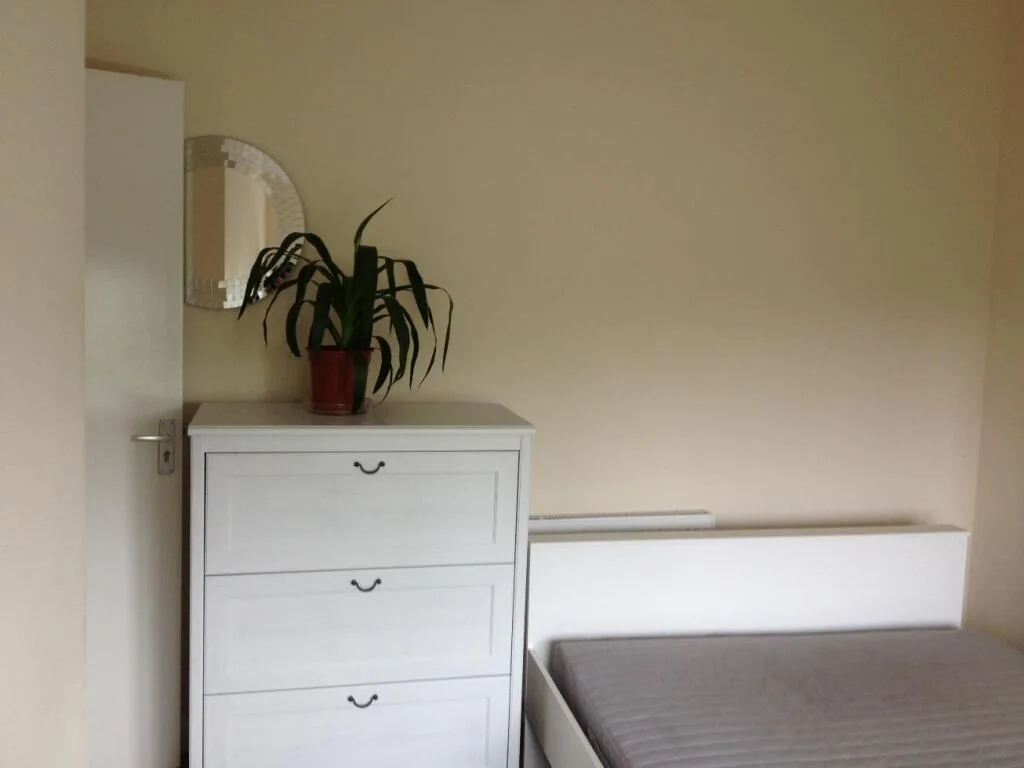 3 bedroom semi-detached house for rent