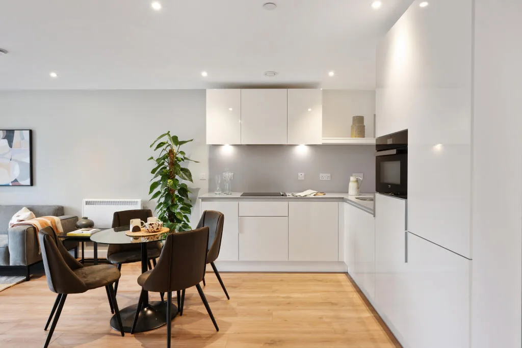 1 bedroom apartment for rent