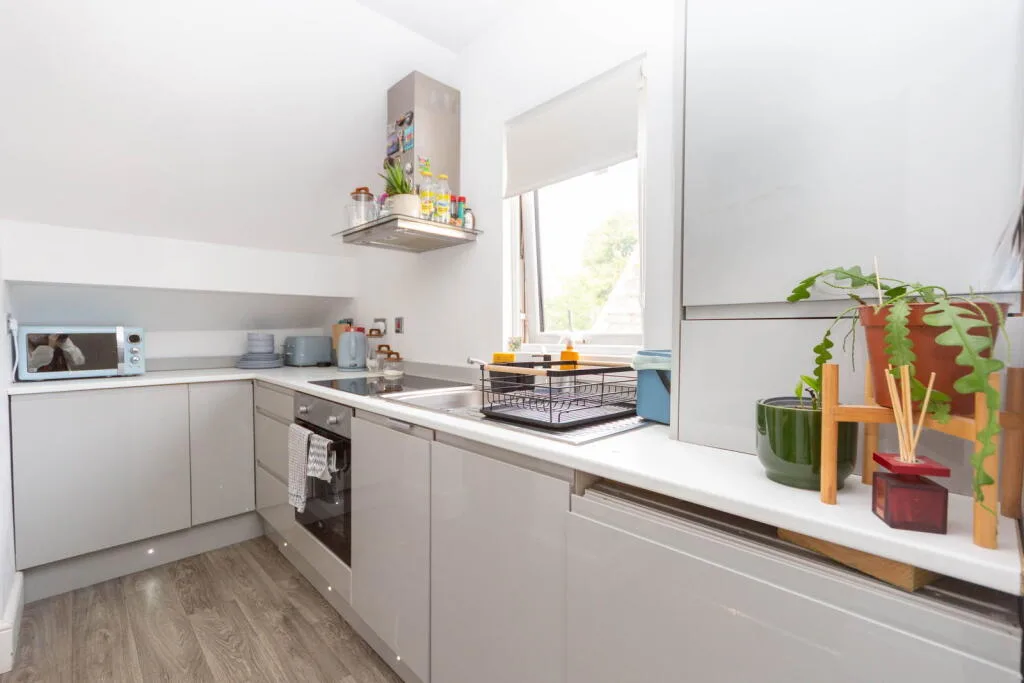 1 bedroom flat for rent