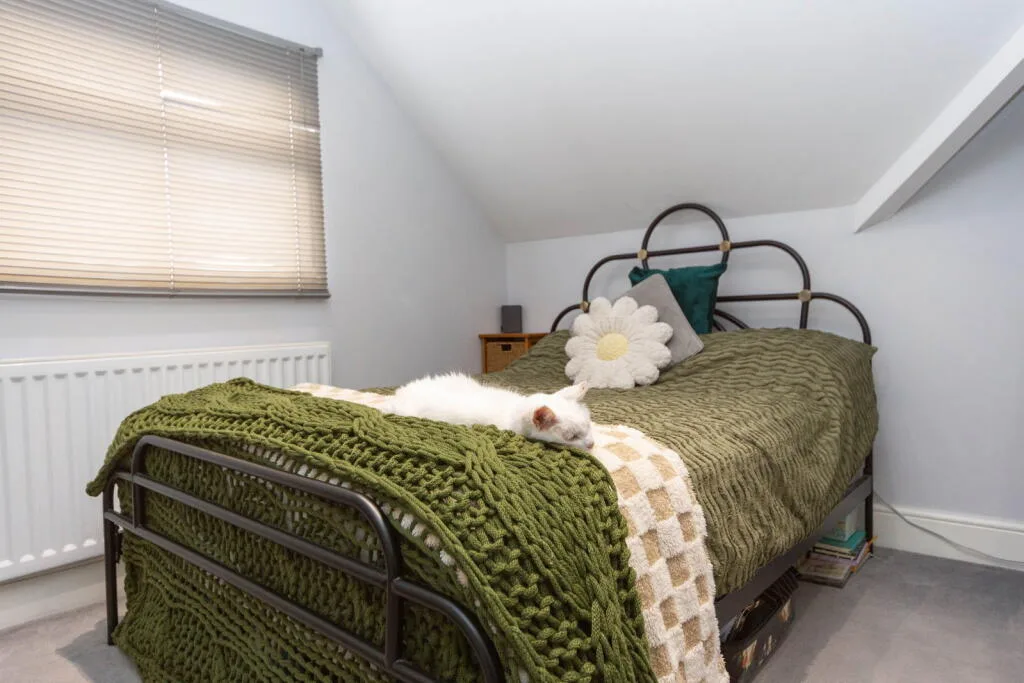 1 bedroom flat for rent