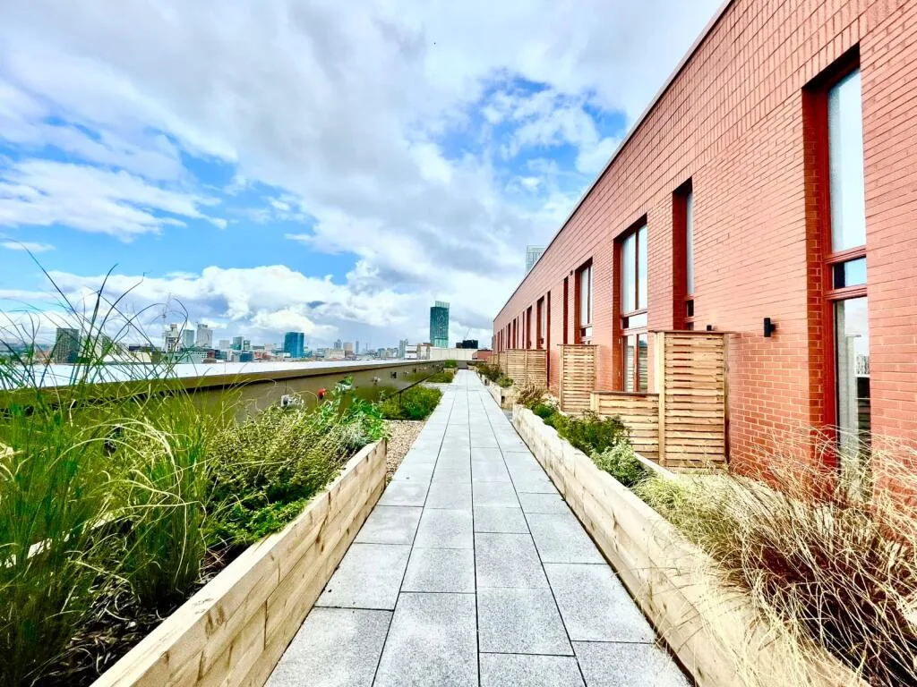 3 bedroom penthouse for rent