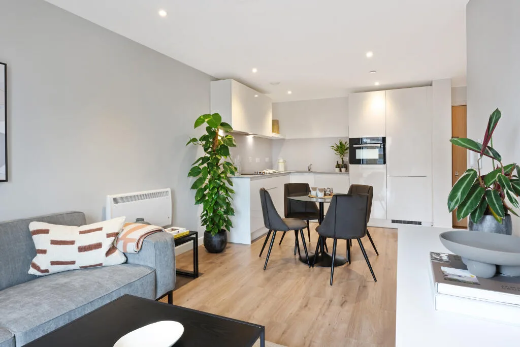 1 bedroom apartment for rent