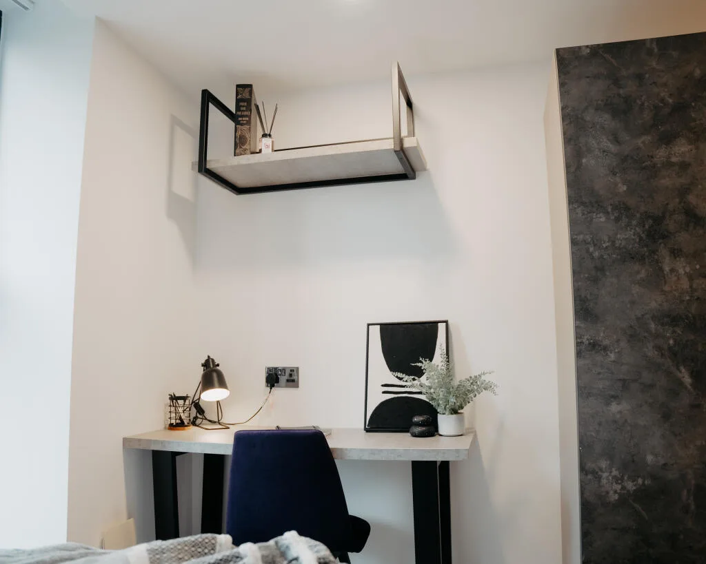 Studio apartment for rent