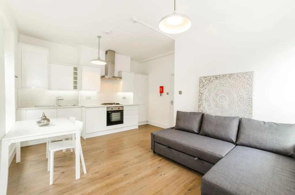 1 bedroom flat for rent