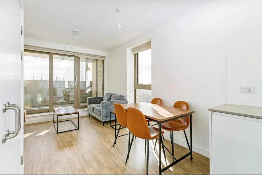 1 bedroom apartment for rent