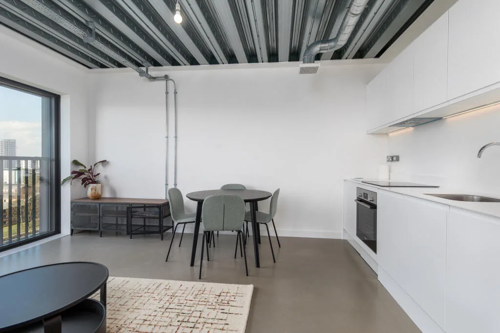 1 bedroom apartment for rent