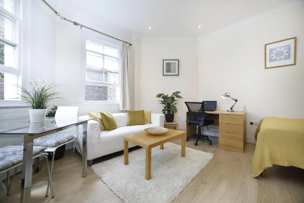 Studio flat for rent