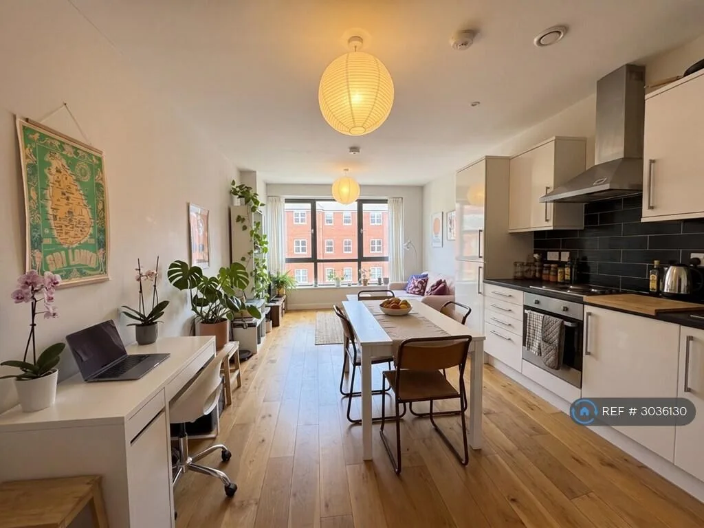1 bedroom flat for rent