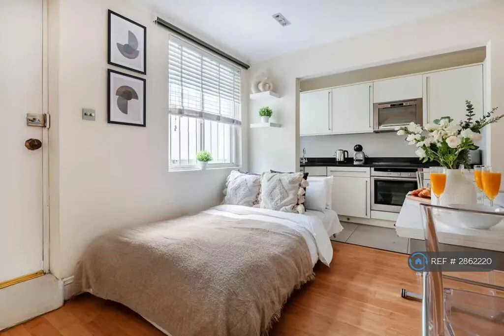 1 bedroom flat for rent