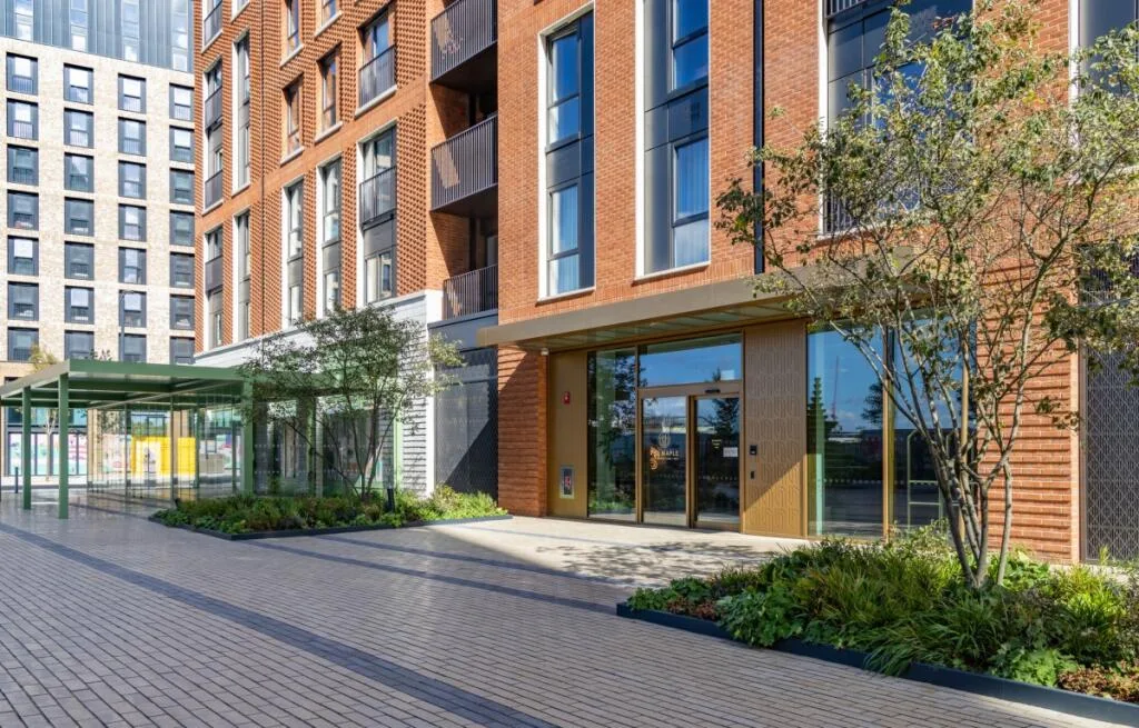 1 bedroom flat for rent