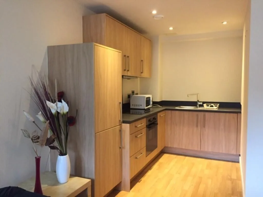 1 bedroom apartment for rent