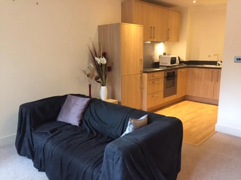 1 bedroom apartment for rent