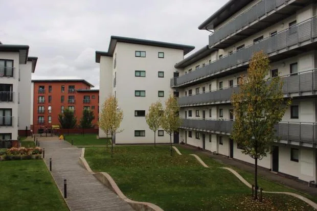 2 bedroom apartment for rent
