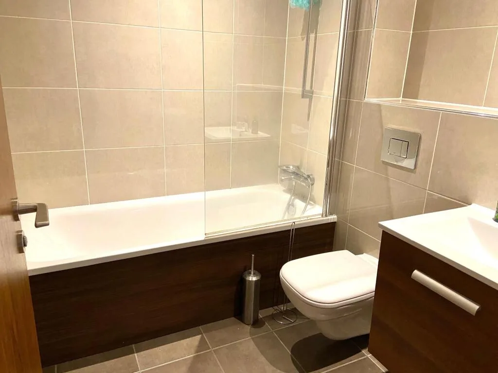 1 bedroom apartment for rent