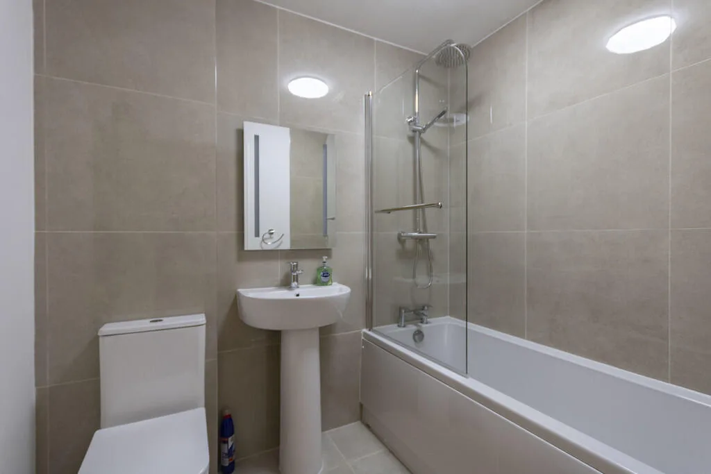 1 bedroom apartment for rent
