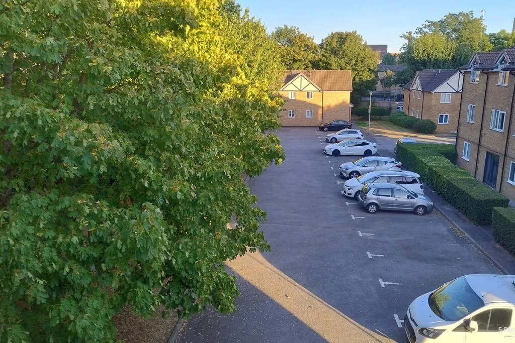 2 bedroom flat for rent