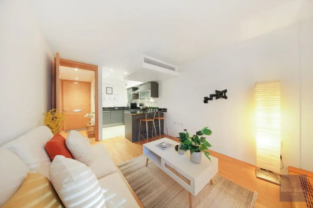 1 bedroom apartment for rent