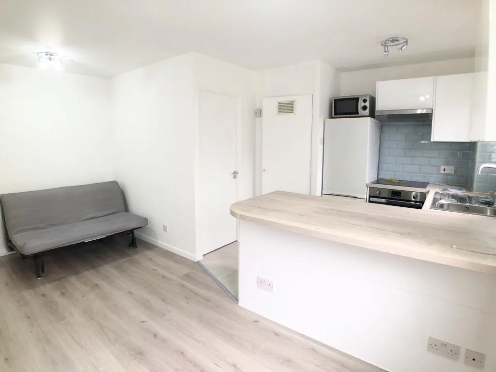 1 bedroom apartment for rent