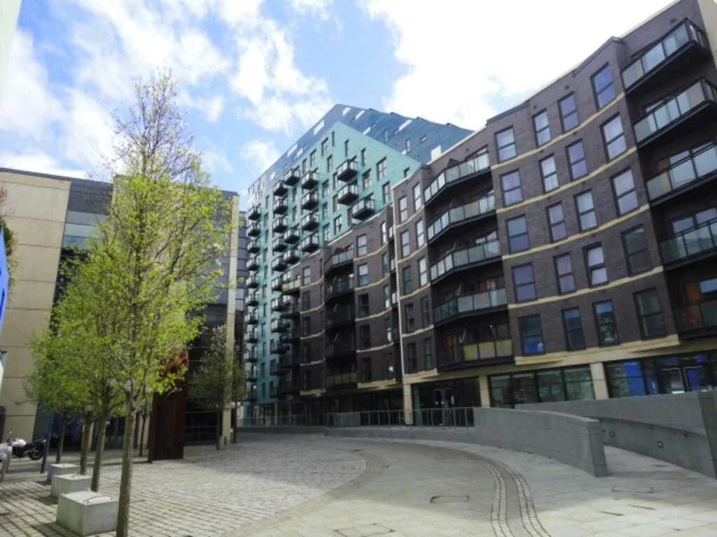 Studio flat for rent