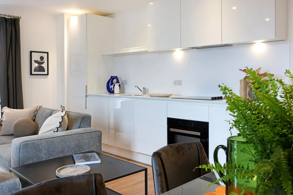 2 bedroom apartment for rent